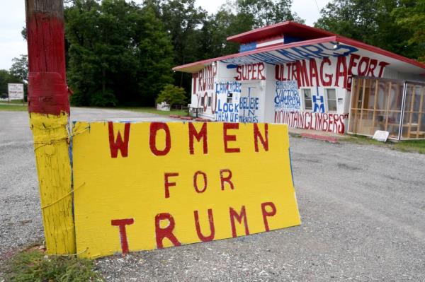 Lawn signs supporting former President and Republican presidential nominee Donald Trump displayed in Beverly Hills, Michigan, U.S. on September 5, 2024